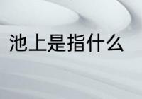 池上是指什么　池上古诗意思及解释