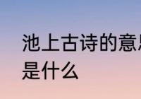 池上古诗的意思　一年级池上的诗意是什么