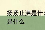 扬汤止沸是什么意思　成语杨汤正沸是什么