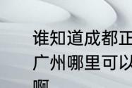 谁知道成都正宗的担担面怎么做　在广州哪里可以吃到正宗的成都担担面啊