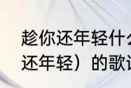 趁你还年轻什么意思　找一下（趁你还年轻）的歌词，谢谢