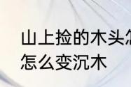 山上捡的木头怎么处理成沉木　木头怎么变沉木