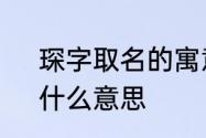 琛字取名的寓意　琛这个字读什么，什么意思