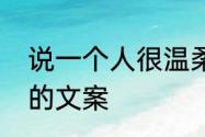 说一个人很温柔的文案　温柔且上进的文案