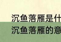 沉鱼落雁是什么意思?还是代表什么　沉鱼落雁的意思