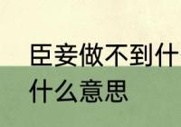 臣妾做不到什么意思　臣妾做不到是什么意思