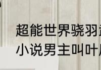 超能世界骁羽武神攻略　有一部都市小说男主叫叶辰是什么小说