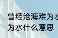 曾经沧海难为水,的意思　曾经沧海难为水什么意思