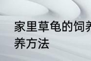 家里草龟的饲养方法　家里草龟的饲养方法