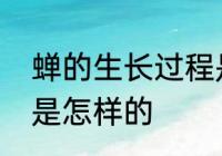 蝉的生长过程是什么　蝉的生长过程是怎样的