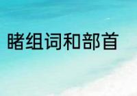 睹组词和部首　是见偏旁的字有哪些