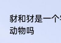 豺和犲是一个字吗　豺和豺狼是一种动物吗