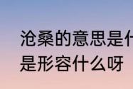 沧桑的意思是什么　沧桑是什么意思是形容什么呀