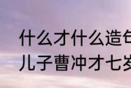 什么才什么造句二年级下册　曹操的儿子曹冲才七岁用才是造句