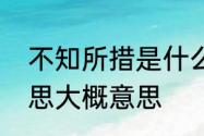 不知所措是什么意思　不知所措的意思大概意思