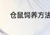 仓鼠饲养方法详细　仓鼠怎么养