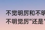 不觉明厉和不明觉厉的区别是什么　“不明觉厉”还是“不明觉历”，什么意思