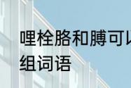 哩栓胳和膊可以怎么组词　膊加偏旁组词语