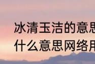 冰清玉洁的意思是什么　冰清玉洁是什么意思网络用语