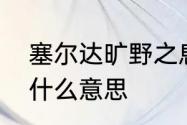 塞尔达旷野之息冰剑获取　冰剑术数什么意思