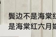 鬓边不是海棠红周香芸结局　鬓边不是海棠红六月嫁给薛大爷结局