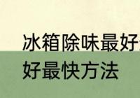 冰箱除味最好最快方法　冰箱除味最好最快方法