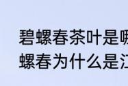 碧螺春茶叶是哪里生产的　洞庭湖碧螺春为什么是江苏的