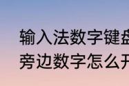 输入法数字键盘怎么调整　电脑键盘旁边数字怎么开