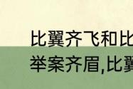 比翼齐飞和比翼双飞哪个是存在的　举案齐眉,比翼双飞是什么意思