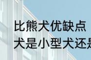 比熊犬优缺点　比熊犬能张多大比熊犬是小型犬还是中型犬