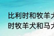 比利时和牧羊犬是一个品种吗　比利时牧羊犬和马犬一样吗