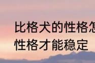 比格犬的性格怎么样　比格犬长多大性格才能稳定