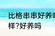 比格串串好养吗　比格犬的性格怎么样?好养吗