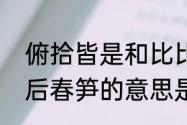 俯拾皆是和比比皆是有什么区别　雨后春笋的意思是什么