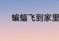 蝙蝠飞到家里没法出去会饿死吗