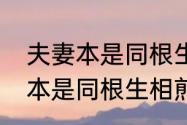 夫妻本是同根生相煎何太急什么意思　本是同根生相煎何太急是什么意思