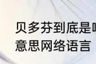 贝多芬到底是啥意思　贝多芬是什么意思网络语言