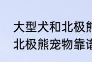 大型犬和北极熊长得很像是什么品种　北极熊宠物靠谱吗