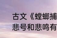 古文《螳螂捕蝉》中“悲鸣”解释啥　悲号和悲鸣有什么区别