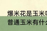 爆米花是玉米吗　炸爆米花的玉米和普通玉米有什么区别