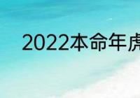 2022本命年虎年要戴什么吉祥物