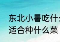 东北小暑吃什么食物　北方小暑节气适合种什么菜