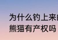 为什么钓上来的石斑鱼会爆眼　爆眼熊猫有产权吗