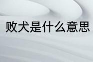 败犬是什么意思　败犬是什么意思啊