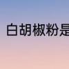 白胡椒粉是什么　白胡椒是什么意思