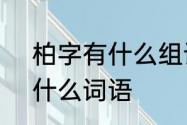 柏字有什么组词6个　柏能组什么词什么词语