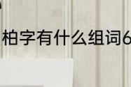 柏字有什么组词6个　柏的组词怎么写