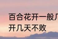 百合花开一般几天后才凋谢　百合花开几天不败