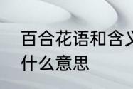 百合花语和含义是什么　百合花语是什么意思