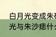 白月光变成朱砂痣是什么意思　白月光与朱沙痣什么意思